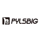 PYLSBIG