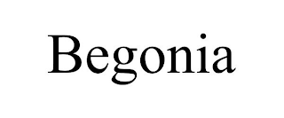 BEGONIA