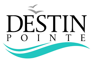 DESTIN POINTE