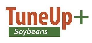 TUNEUP + SOYBEANS