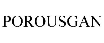 POROUSGAN
