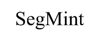 SEGMINT