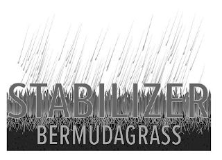 STABILIZER BERMUDAGRASS