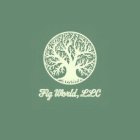 FIG WORLD, LLC