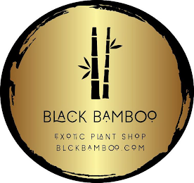 BLACK BAMBOO EXOTIC PLANT SHOP BLCKBAMBOO.COM