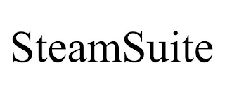 STEAMSUITE