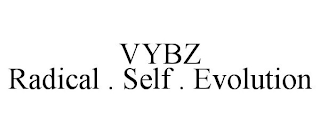 VYBZ  RADICAL . SELF . EVOLUTION