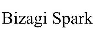 BIZAGI SPARK