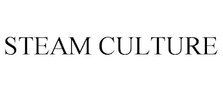 STEAM CULTURE