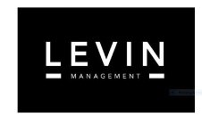 LEVIN MANAGEMENT