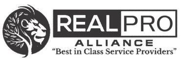 REAL PRO ALLIANCE BEST IN CLASS SERVICE PROVIDERS