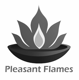 PLEASANT FLAMES