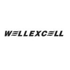 WELLEXCELL