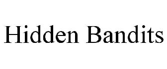 HIDDEN BANDITS