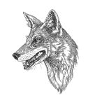 Image Trademark