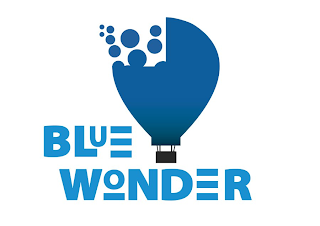 BLUE WONDER