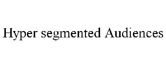 HYPER SEGMENTED AUDIENCES