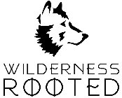 WILDERNESS ROOTED