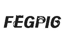 FEGPIG