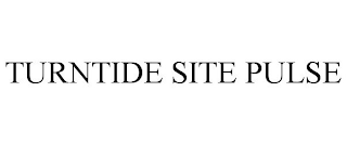 TURNTIDE SITE PULSE