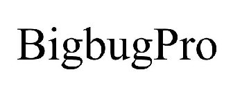 BIGBUGPRO