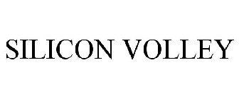 SILICON VOLLEY