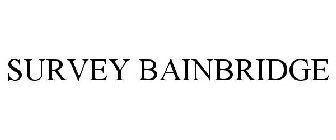 SURVEY BAINBRIDGE