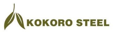 KOKORO STEEL