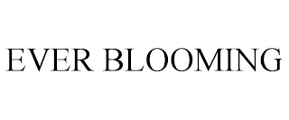 EVER BLOOMING