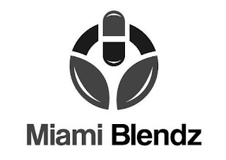 MIAMI BLENDZ