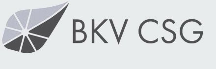 BKV CSG