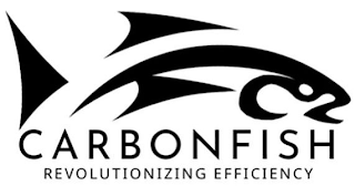CO2 CARBONFISH REVOLUTIONIZING EFFICIENCY