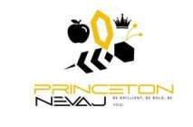 PRINCETON NEVAJ BE BRILLIANT, BE BOLD,BE YOU!YOU!