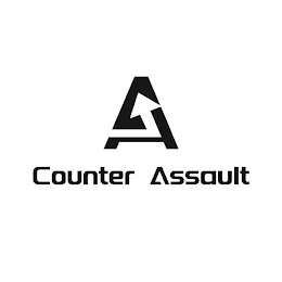 COUNTER ASSAULT