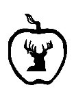 Image Trademark