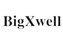 BIGXWELL