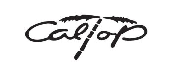 CALTOP