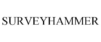 SURVEYHAMMER