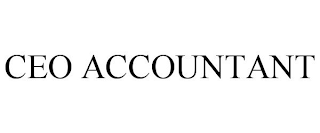 CEO ACCOUNTANT