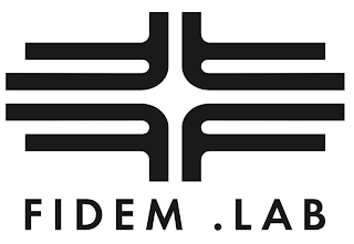 FFFF FIDEM .LAB