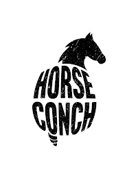 HORSE CONCH