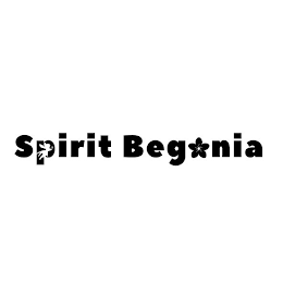 SPIRIT BEGONIA