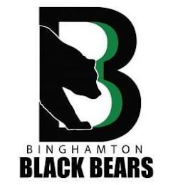 B BINGHAMTON BLACK BEARS