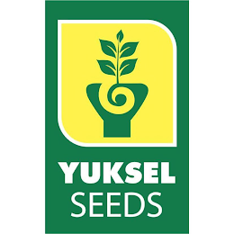 YUKSEL SEEDS