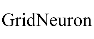 GRIDNEURON