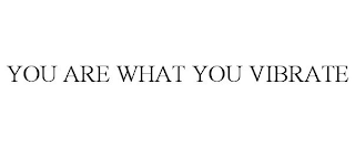 YOU ARE WHAT YOU VIBRATE