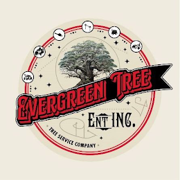 EVERGREEN TREE ENT INC.  • TREE SERVICES COMPANY •COMPANY •