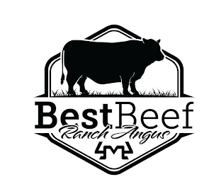 BEST BEEF RANCH ANGUS