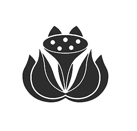 Image Trademark