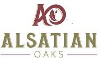 AO ALSATIAN OAKS